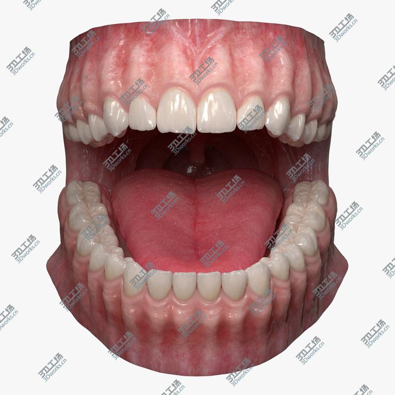 images/goods_img/20210113/Realistic Dental Model With Gums Teeth and Tongue 3D model/1.jpg